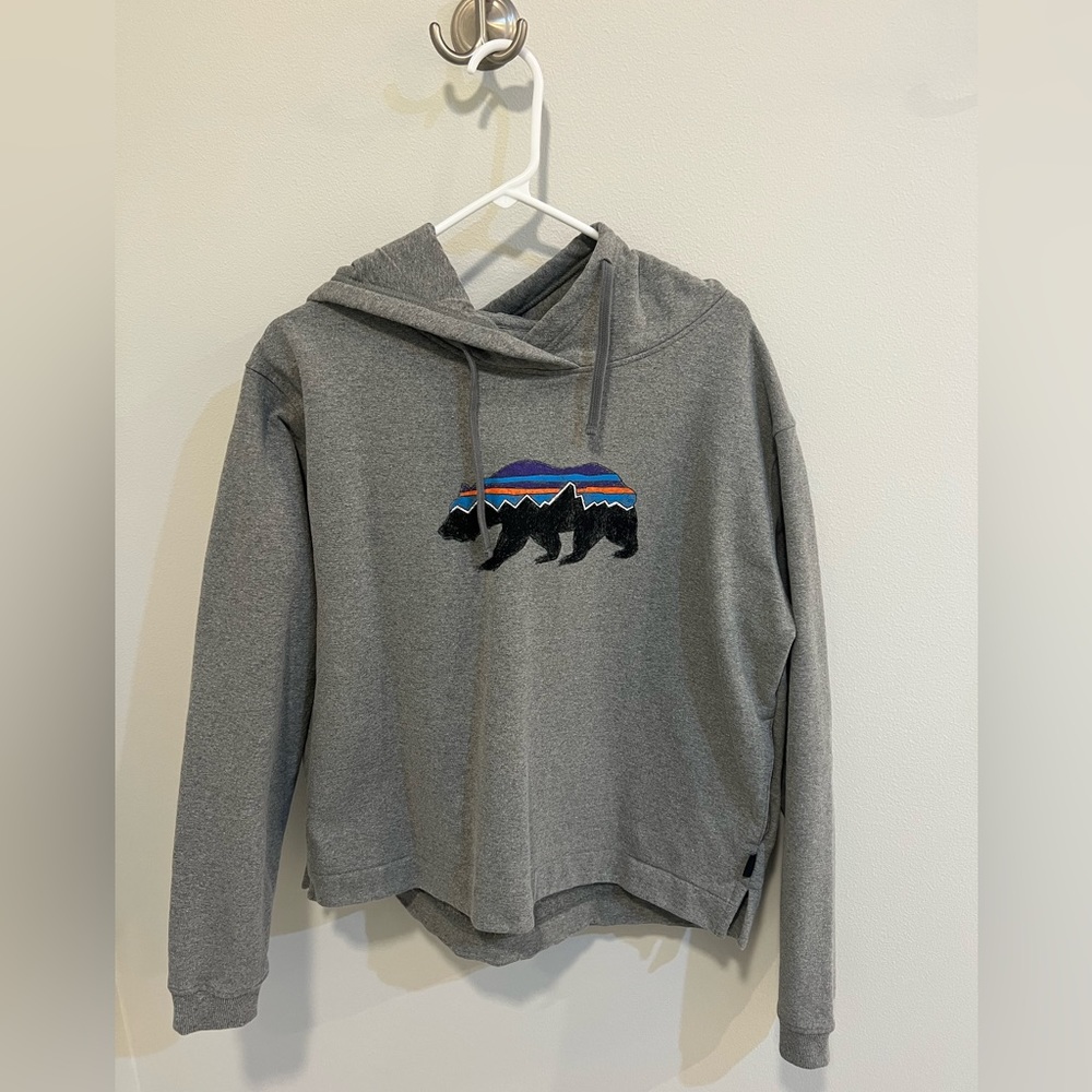 XL Patagonia hooodie